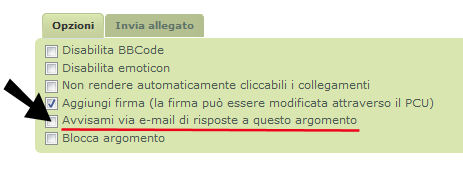 avm.jpg