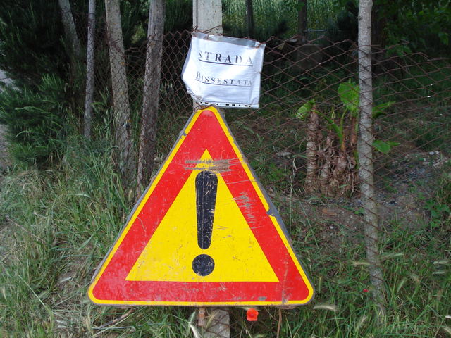 dsc00290p.jpg