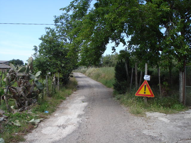 dsc00292h.jpg