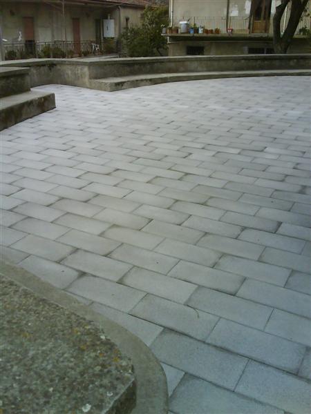 DSC00300 (Medium).JPG