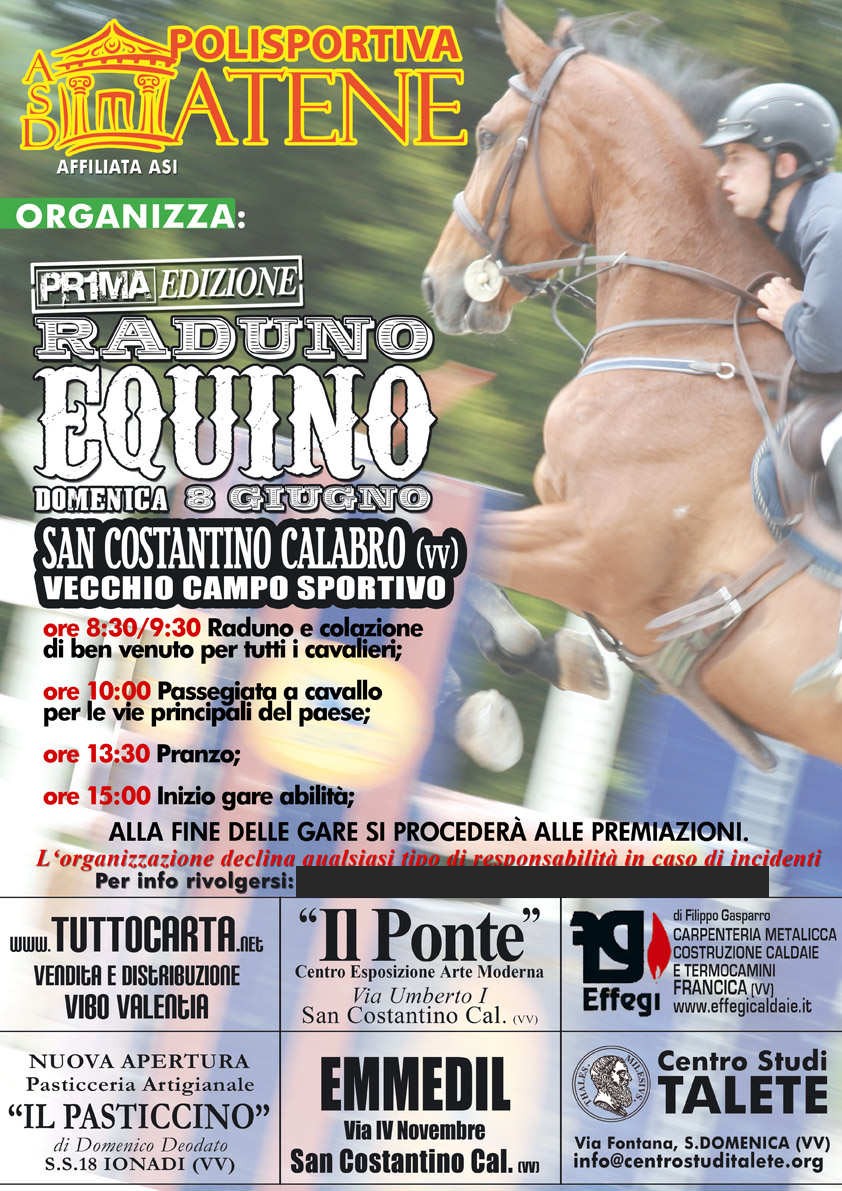 locandina raduno equino 2008.jpg