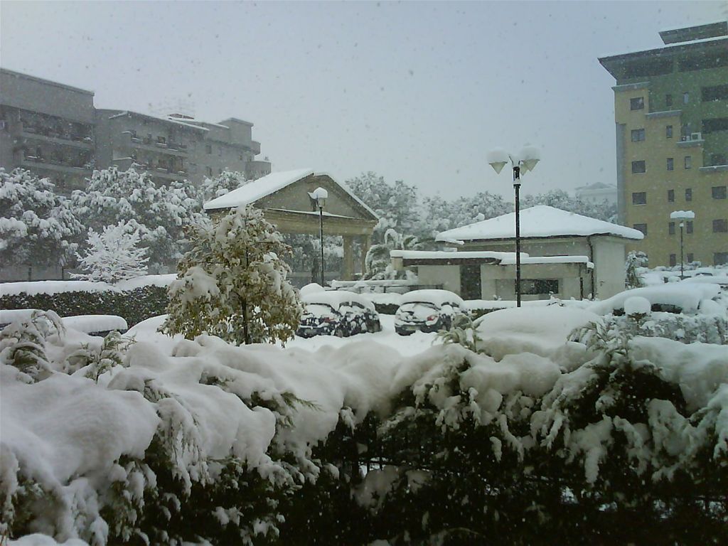 _lg_dsc00205.jpg
