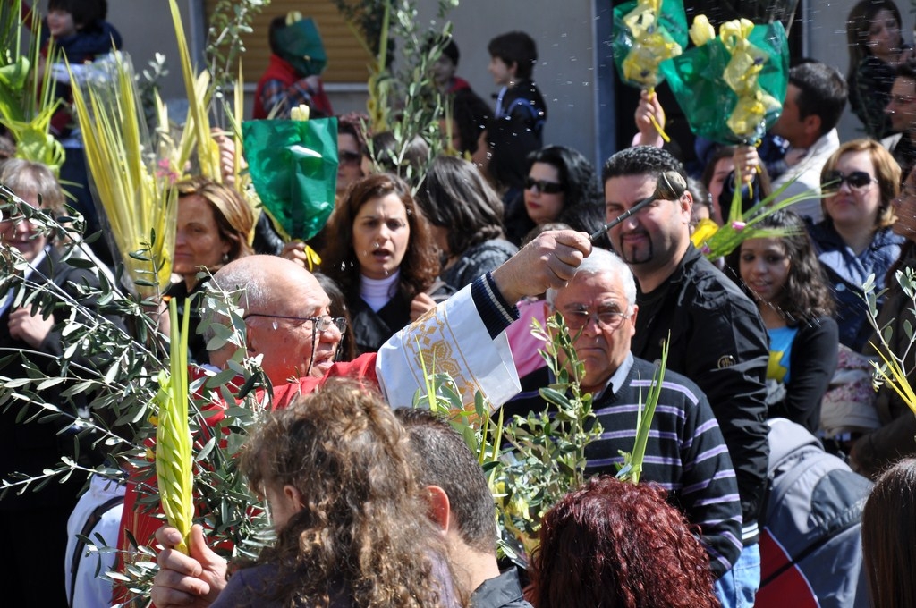 Domenica delle Palme